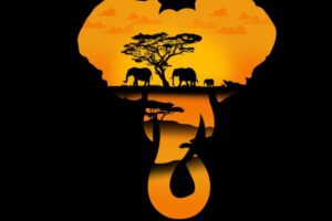 Bespoke Safaris: An Unforgettable Adventure in the Wild