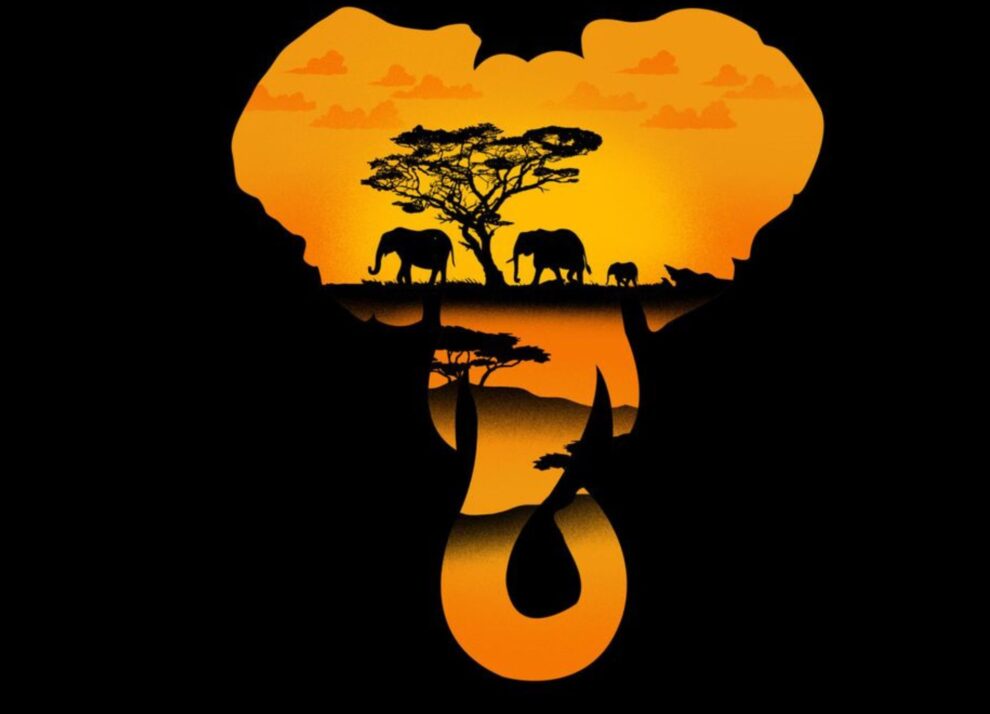 Bespoke Safaris: An Unforgettable Adventure in the Wild